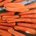 精品三红七寸参胡萝卜种子高产抗病耐热耐寒农家菜园基地种植