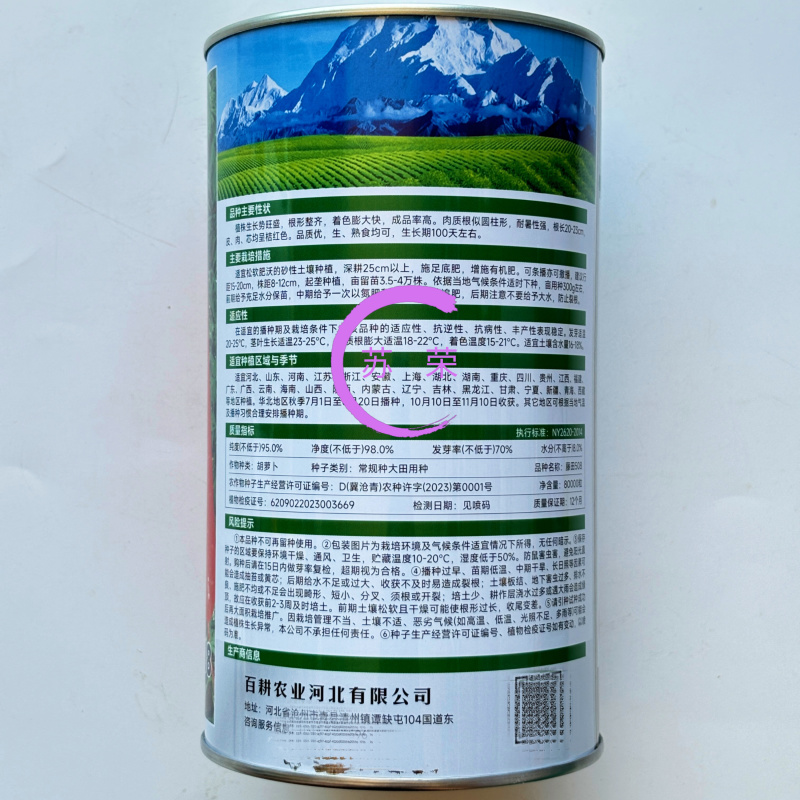 藤田508胡萝卜种子长势旺盛膨大快高产耐暑性强胡萝卜