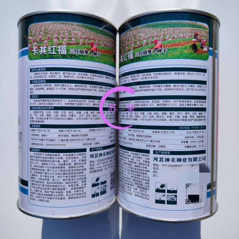 卡其红福三红胡萝卜种子高产抗病优质桔红胡萝卜种籽蔬菜