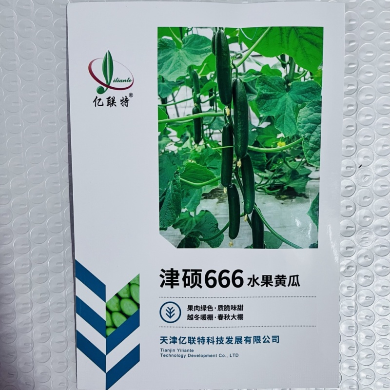 亿联特津硕666水果黄瓜品种早熟强磁型品种种子