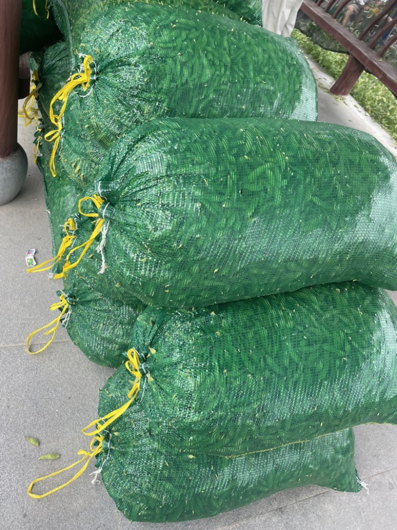 安徽高山精品大青豆毛豆色泽翠绿大量上市欢迎来电