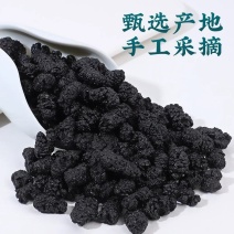 桑葚干新疆黑桑葚精选500g精品泡茶水新果子非冻批发中药