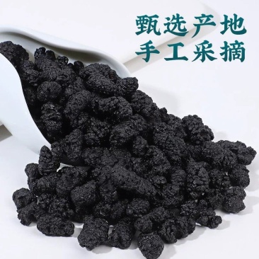 桑葚干新疆黑桑葚精选500g精品泡茶水新果子非冻批发中药