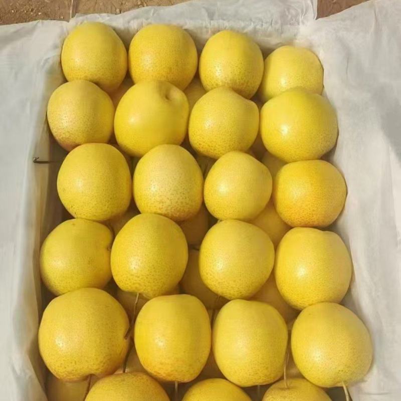 精品雪花梨
