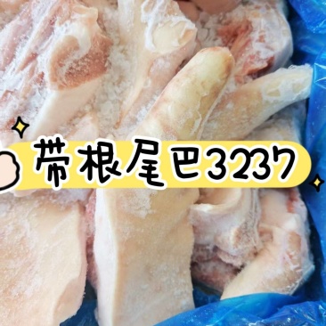 带根尾巴到货！价格超低