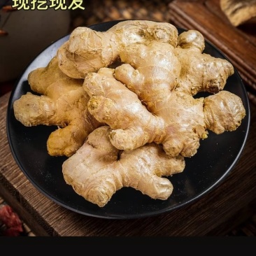 武夷山生姜