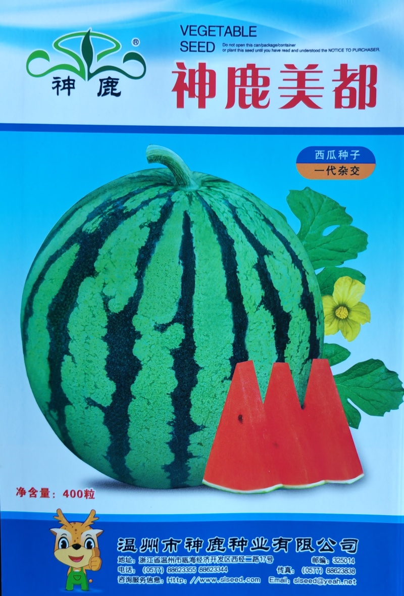 西瓜种子
