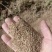 蛇床子今年新货纯野生手工采摘颗粒饱满批发零售