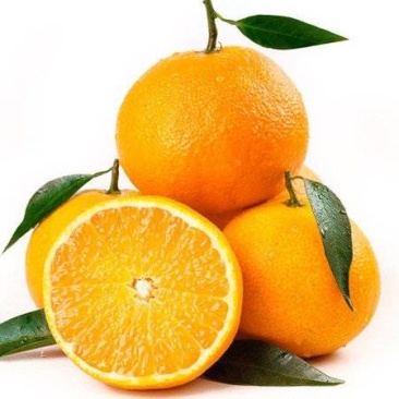 精品爱媛果冻橙产地直发一手货源电商团购各种平台对接