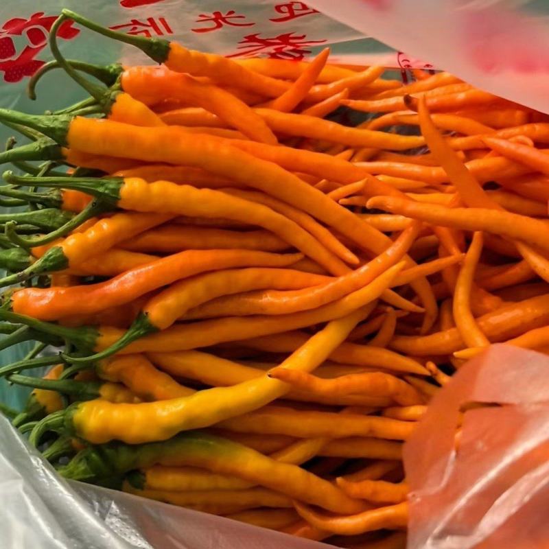 王十万黄辣椒