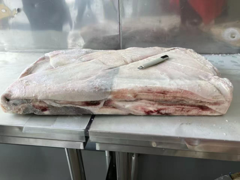 鳐鱼翅，今年新货鳐鱼翅