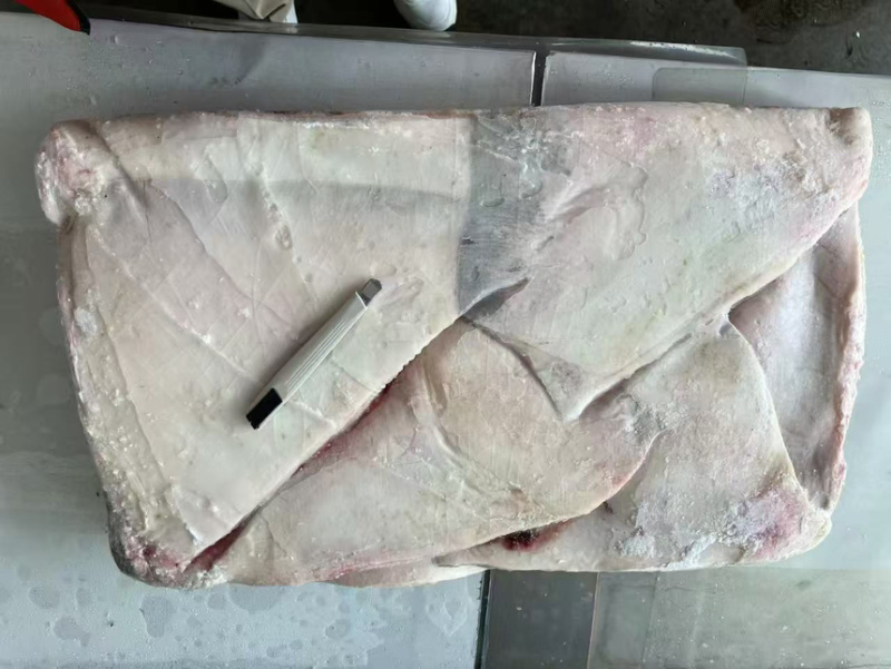 鳐鱼翅，今年新货鳐鱼翅