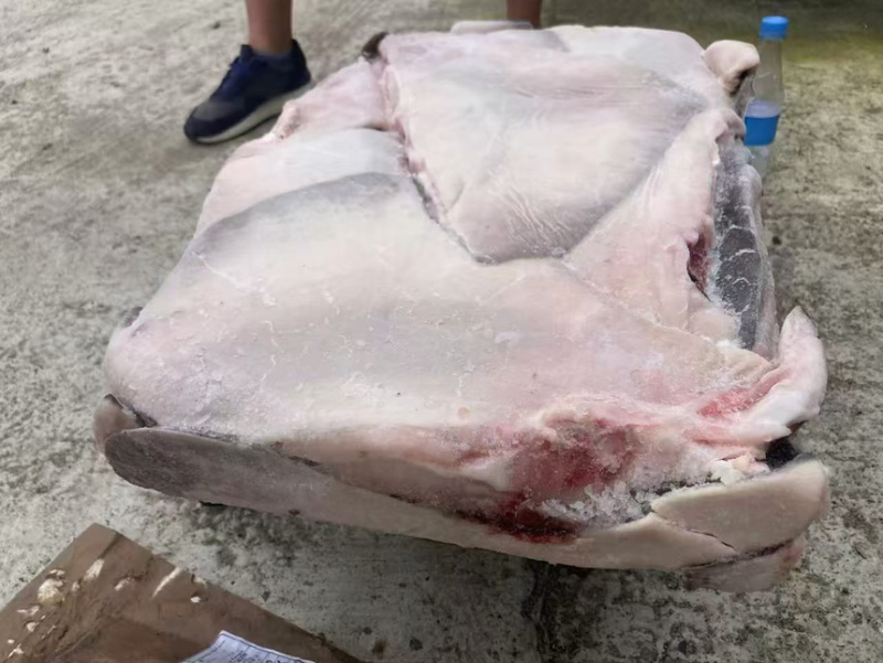 鳐鱼翅，今年新货鳐鱼翅
