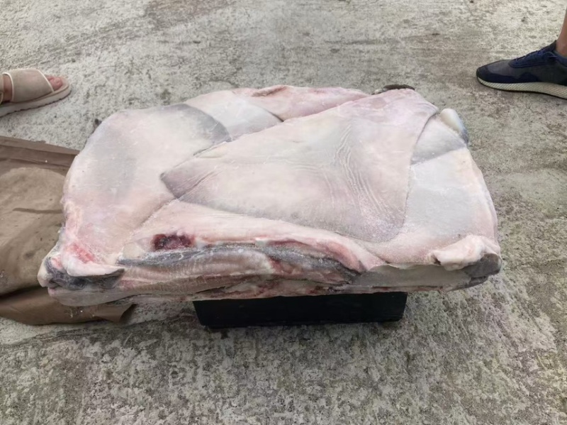 鳐鱼翅，今年新货鳐鱼翅