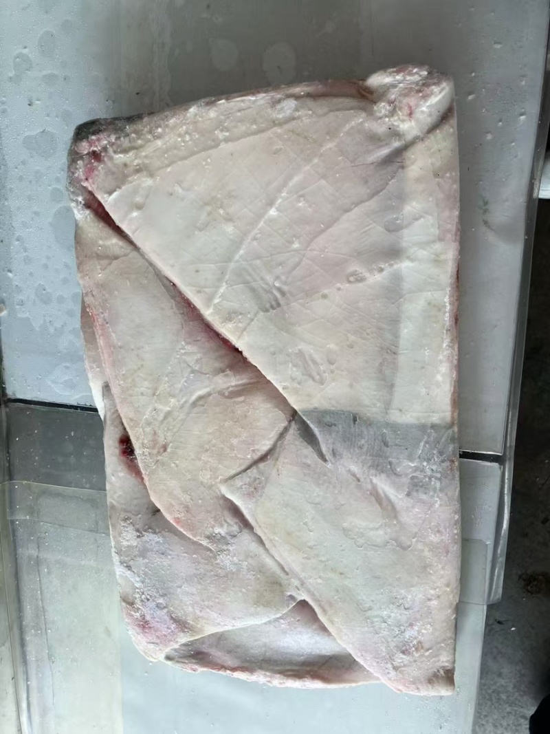 鳐鱼翅，今年新货鳐鱼翅