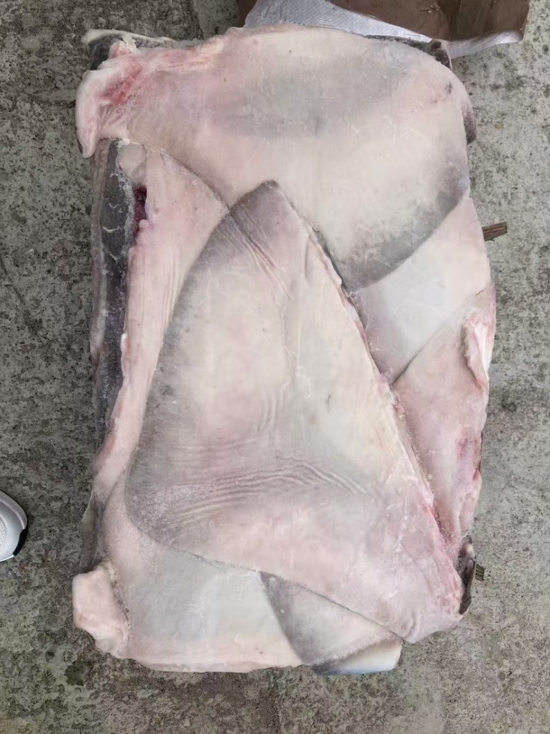 鳐鱼翅，今年新货鳐鱼翅