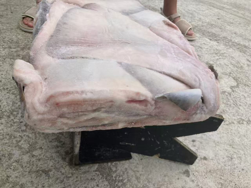 鳐鱼翅，今年新货鳐鱼翅