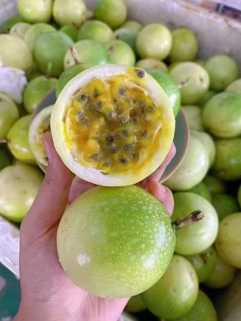 广西百香果