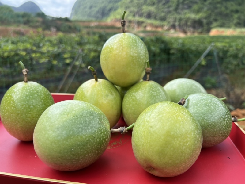 广西百香果
