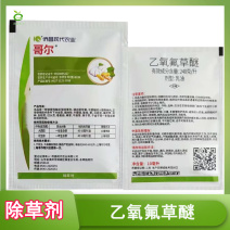 侨昌哥尔乙氧氟草醚大蒜除草剂花生除草封闭除草剂