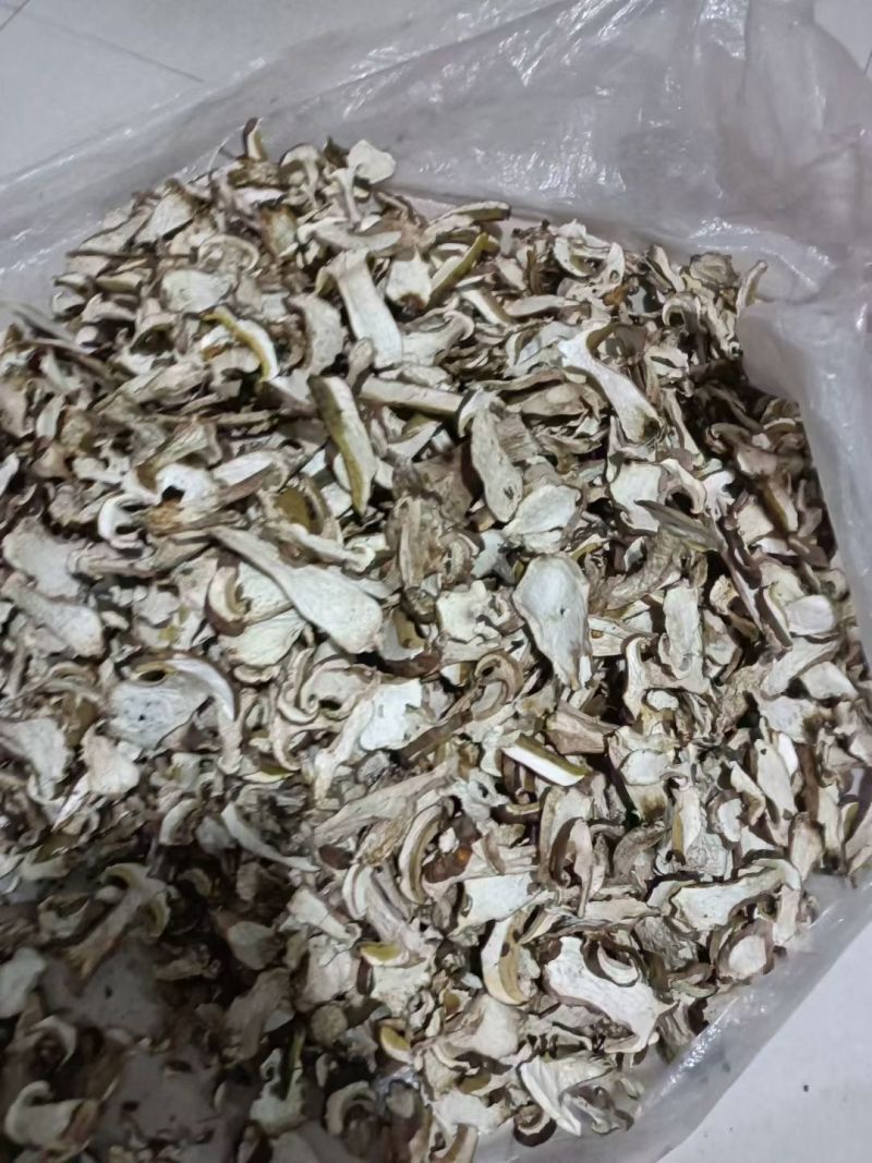 美味牛肝菌