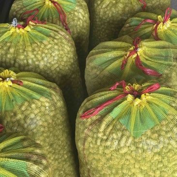 商丘鲜花生