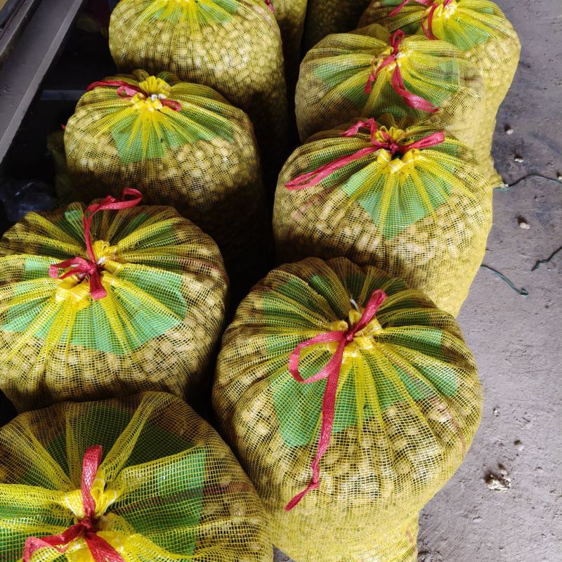 商丘新鲜花生