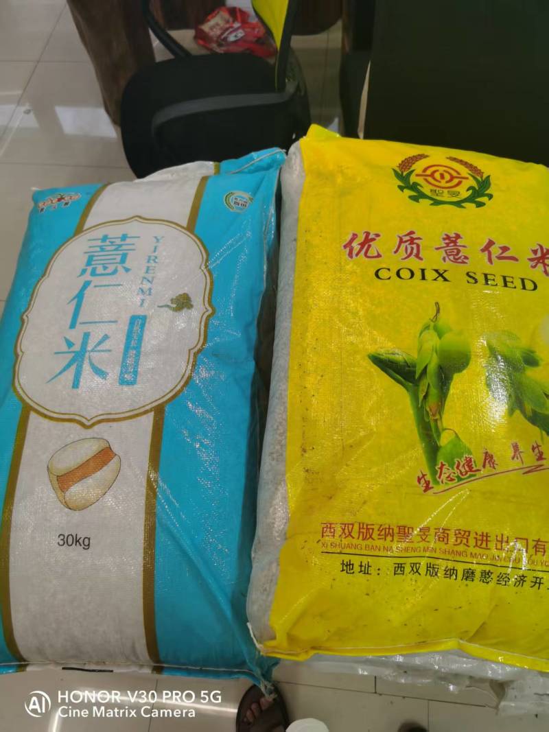贵州薏米仁货源充足/精品薏米薏仁米一手货源/品质保证