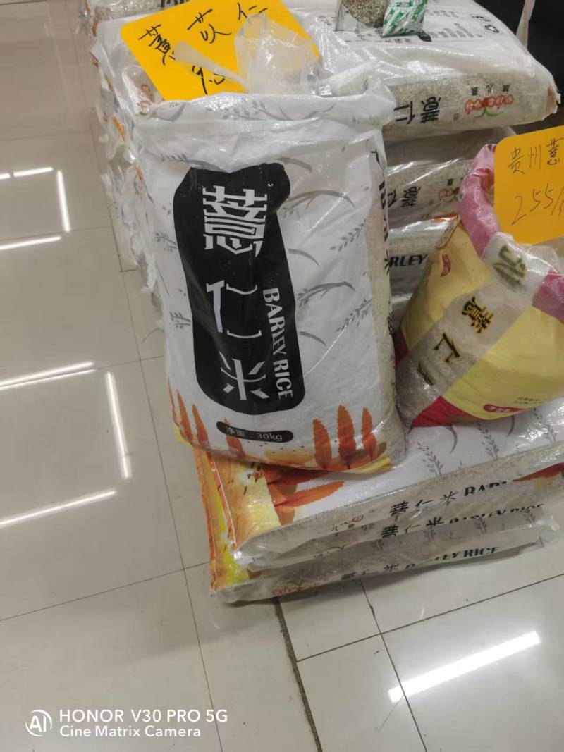 贵州薏米仁货源充足/精品薏米薏仁米一手货源/品质保证