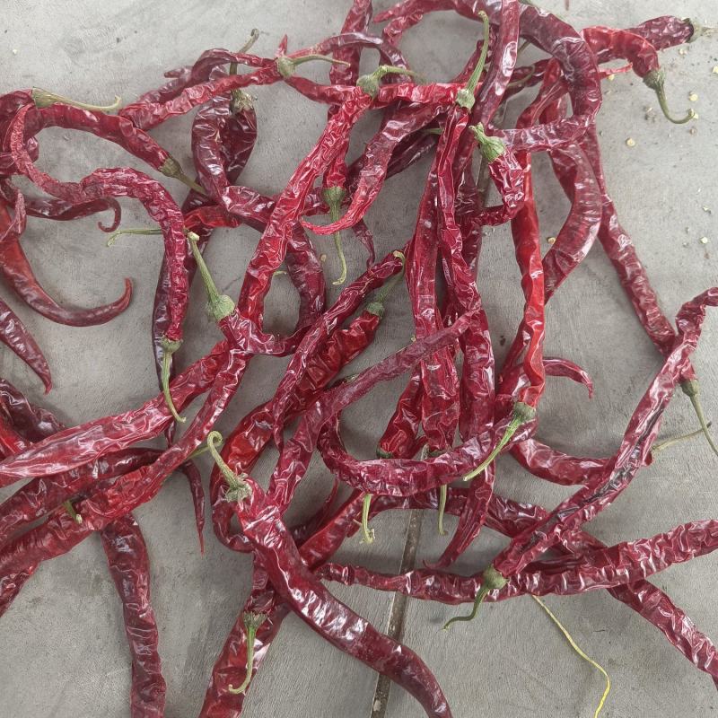 特香微辣大条二荆条干辣椒量大从优