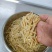亟鲜,炭烤笋尖福建烤笋尖,酒店商用300g*25包