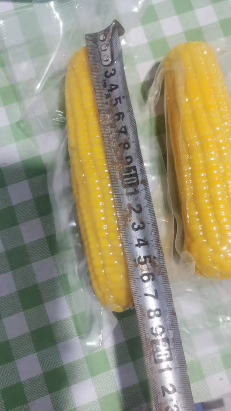 真空包装黄糯玉米