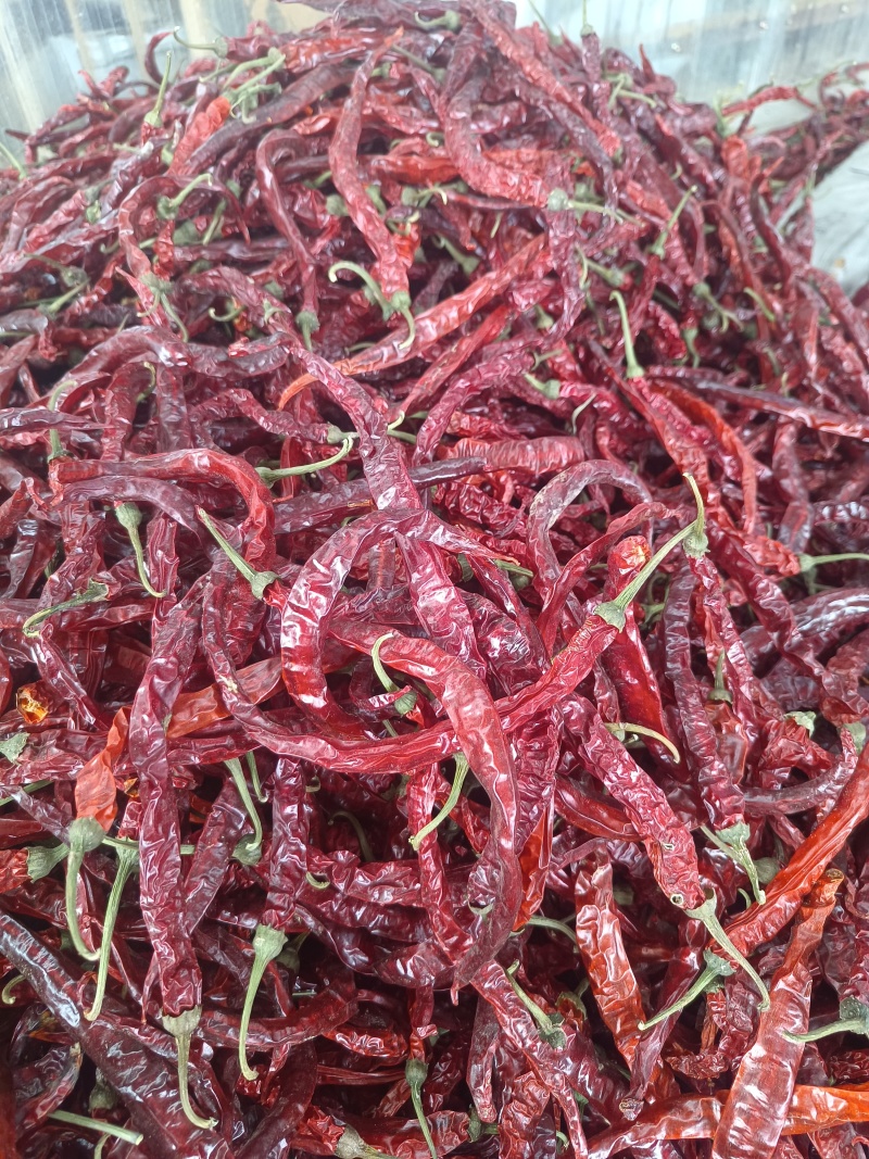 特香微辣大条二荆条干辣椒量大从优