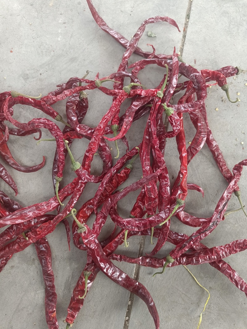 特香微辣大条二荆条干辣椒量大从优