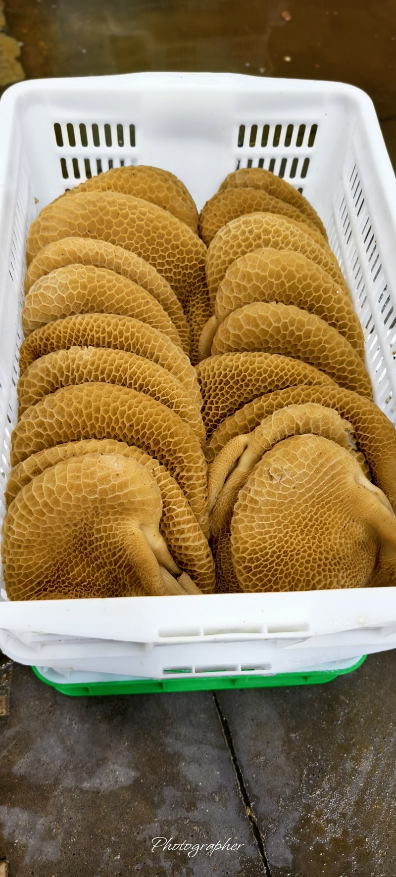 【卤味】