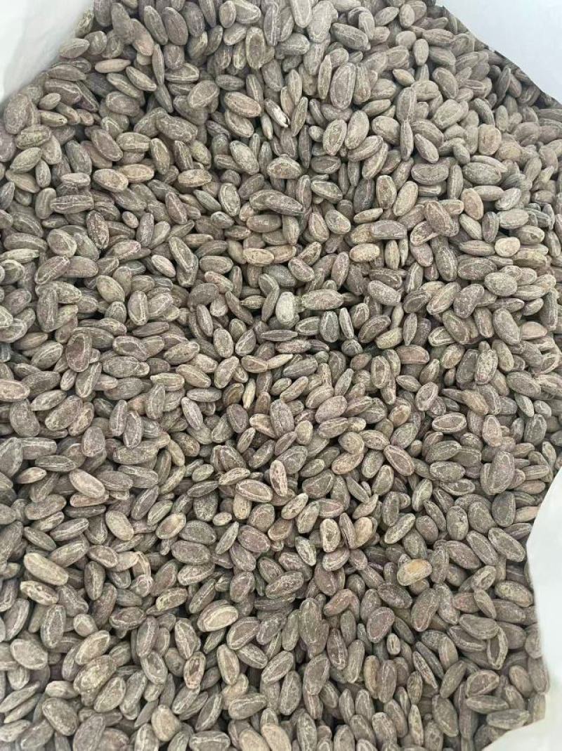 吊瓜籽大量上市，产地直发品质保证，服务周到，诚信经营