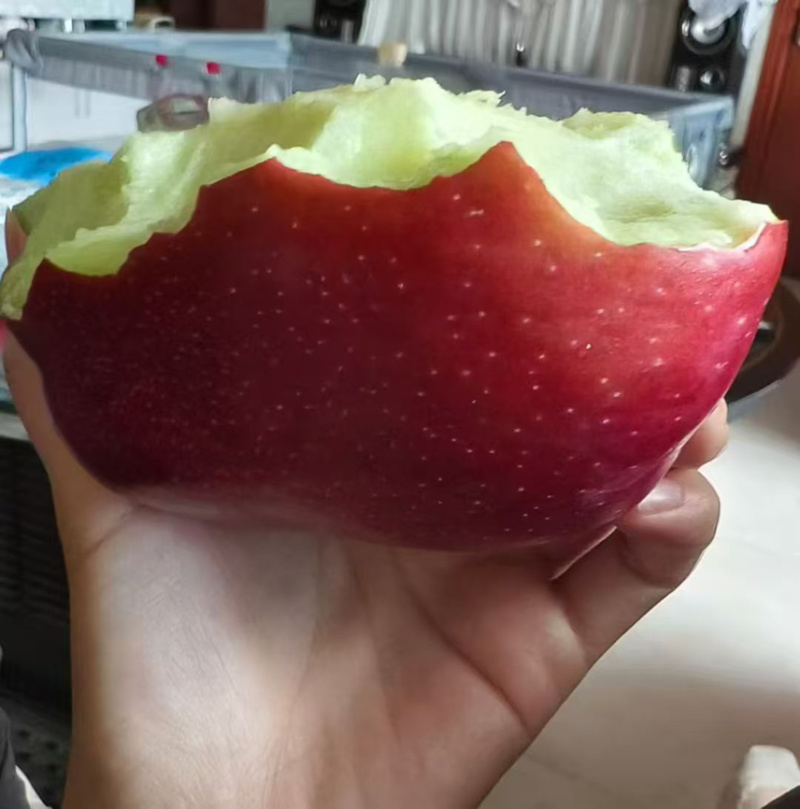 甘肃天水花牛苹果