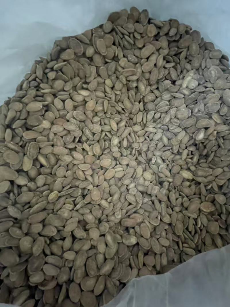 皖峰瓜蒌籽，产地直发，品质保证，服务周到，诚信经营