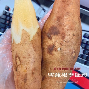 一件代发【雪莲果】