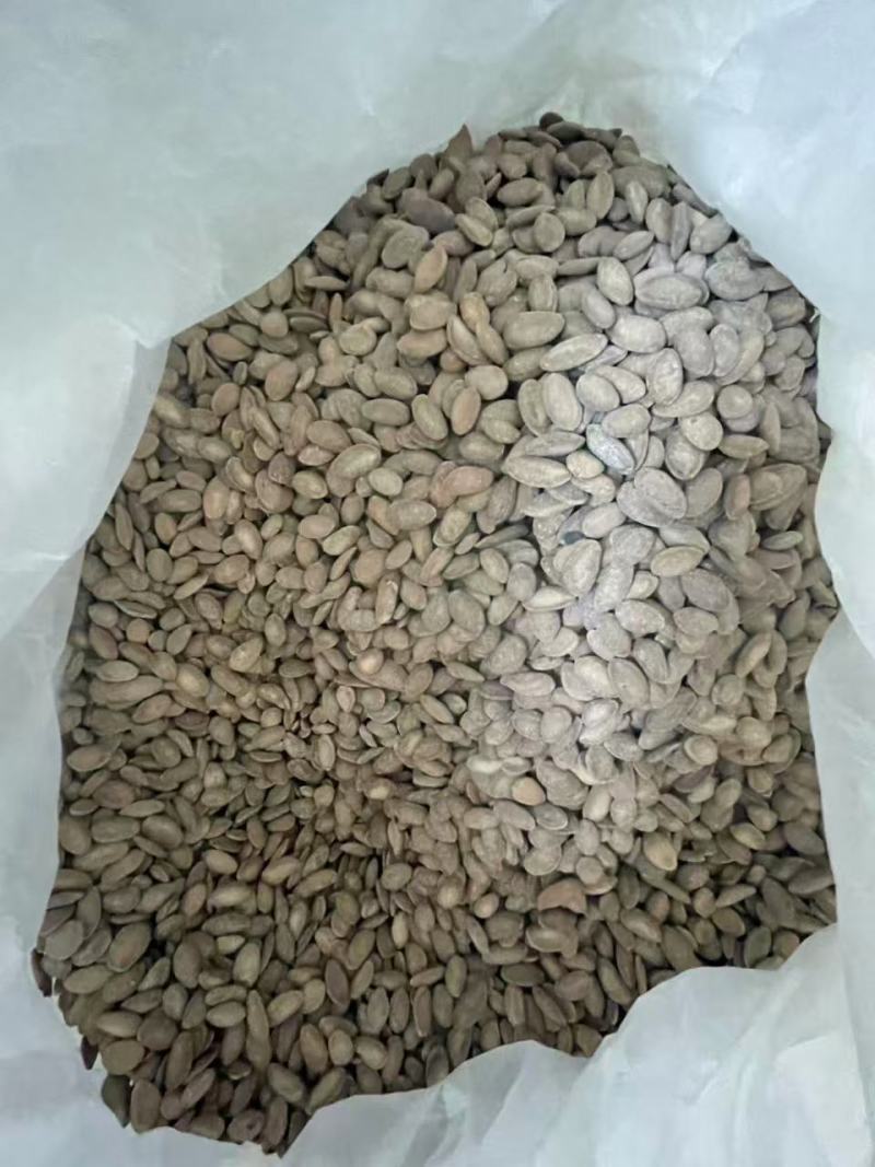 皖峰瓜蒌籽，产地直发，品质保证，服务周到，诚信经营