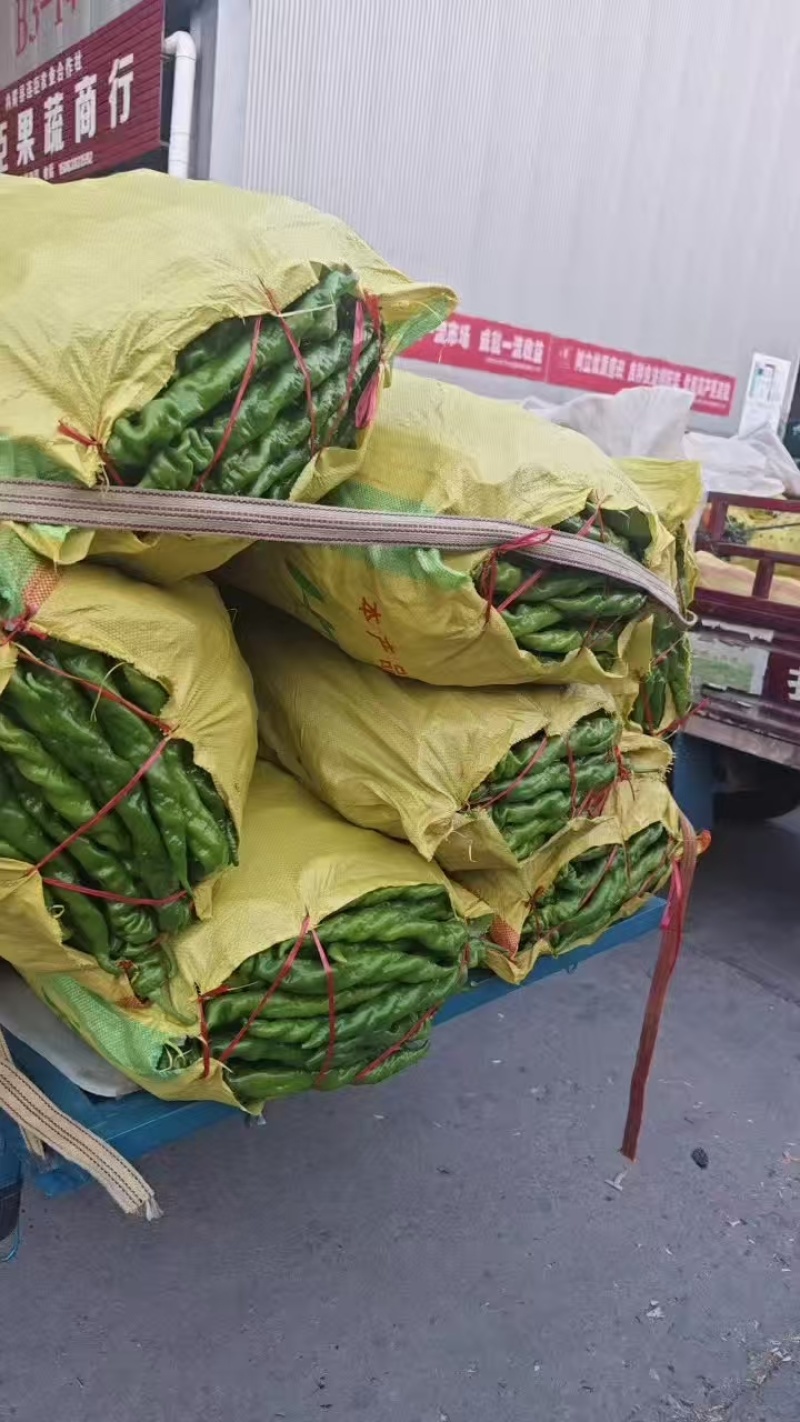 精品螺丝椒鲜辣椒一手货源可视频看货对接全国市场商超