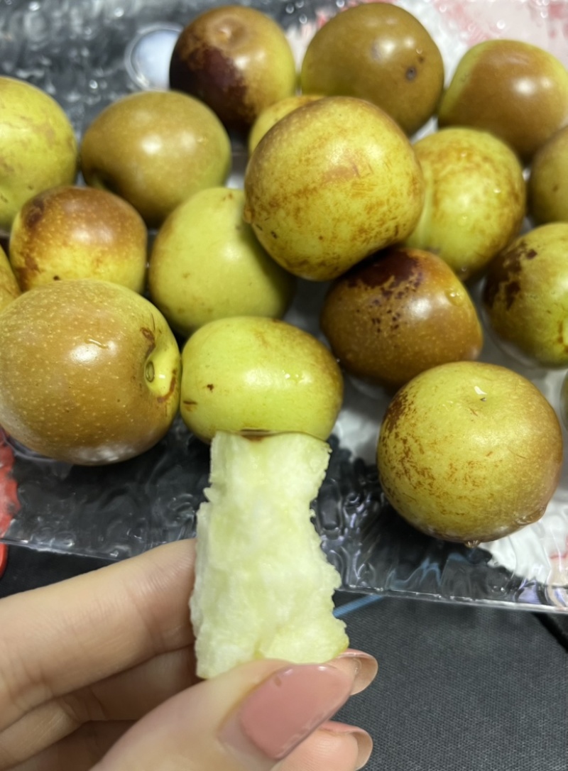 一件代发【陕西露天冰糖冬枣】