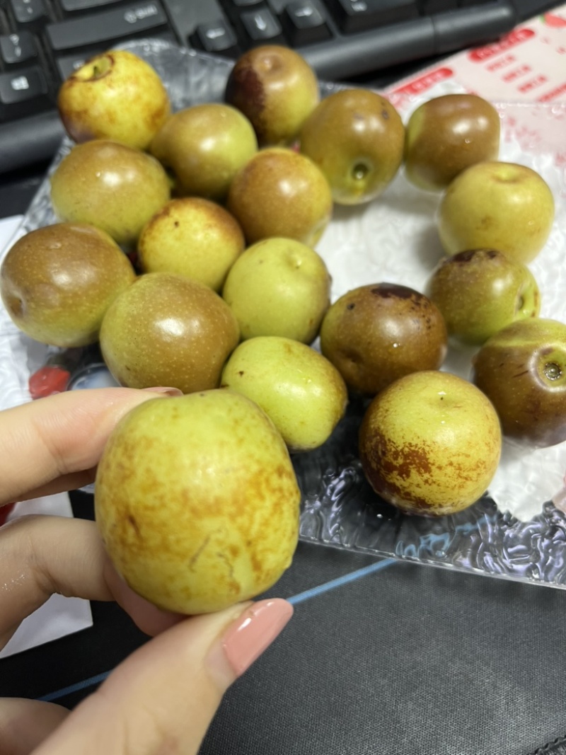 一件代发【陕西露天冰糖冬枣】