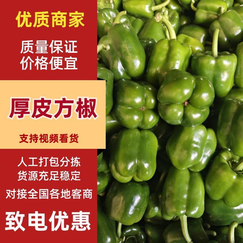 厚皮方椒圆椒太空椒青彩椒甜椒全国发货产地直发
