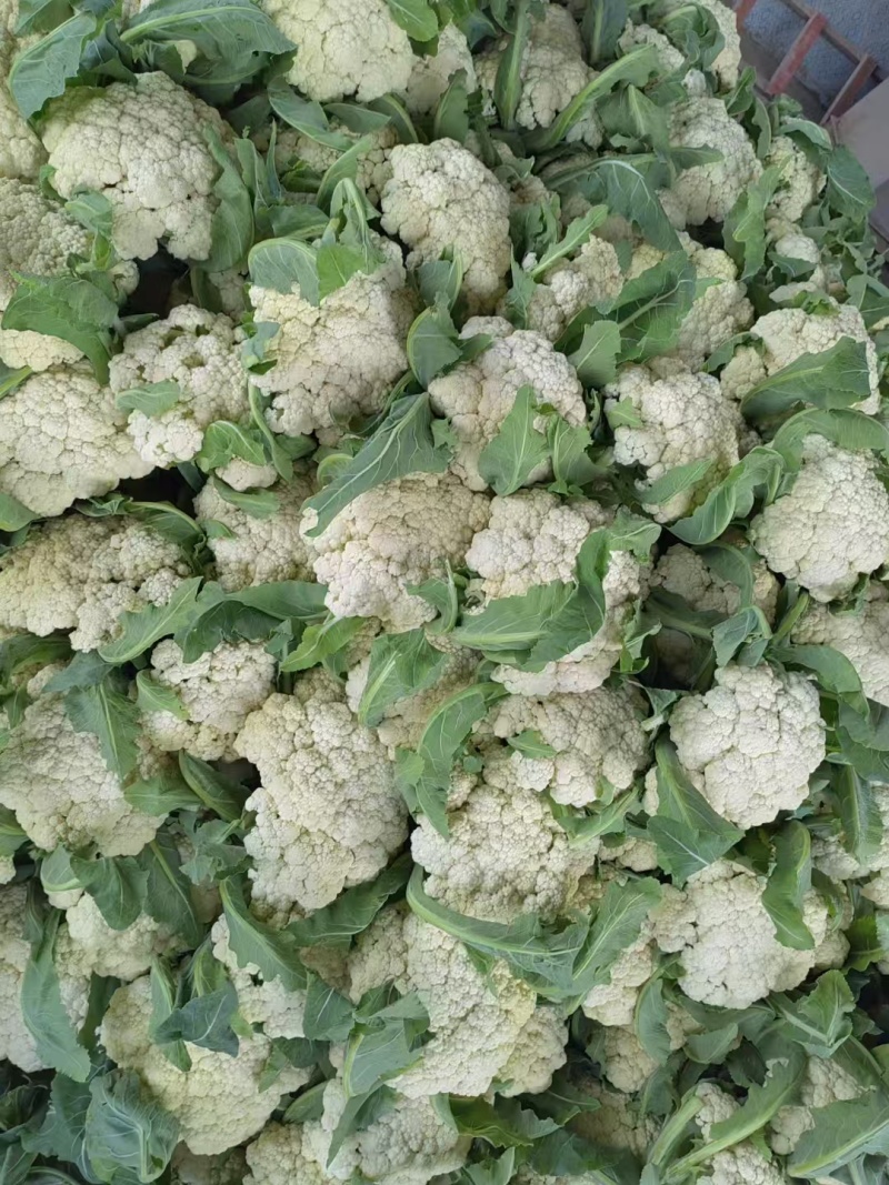 精品有机花菜