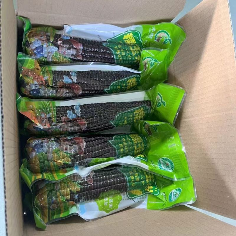一件代发黑糯玉米，18根装批发市场，大量有货