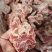 多肉羊蝎子，开箱实拍颜色鲜亮，带肉率高，一件也是批发价