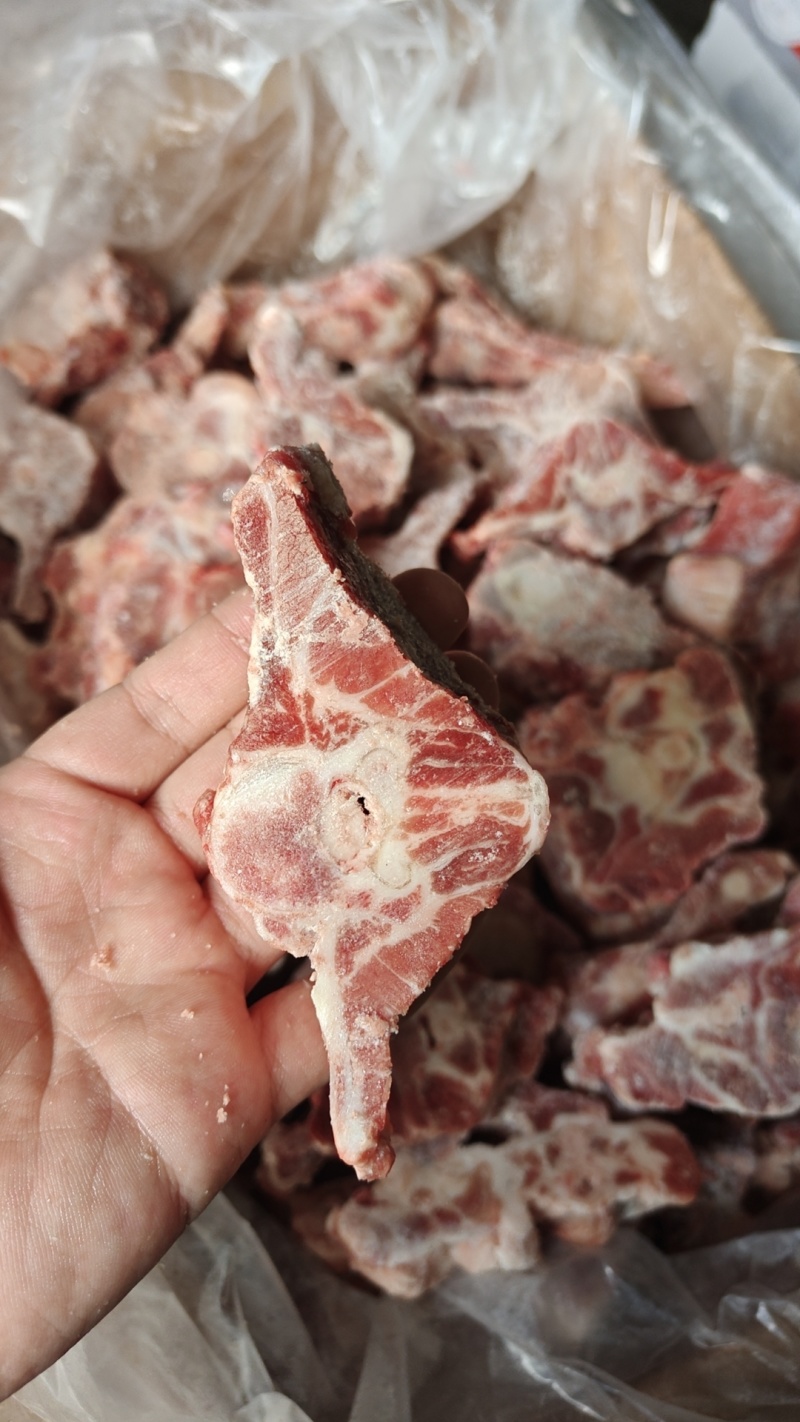 多肉羊蝎子，开箱实拍颜色鲜亮，带肉率高，一件也是批发价