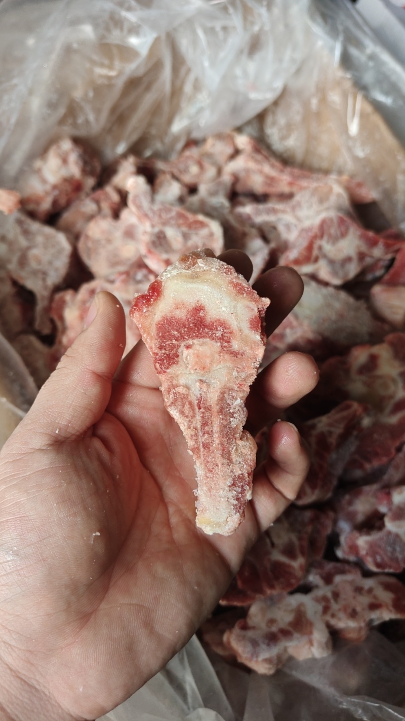 多肉羊蝎子，开箱实拍颜色鲜亮，带肉率高，一件也是批发价