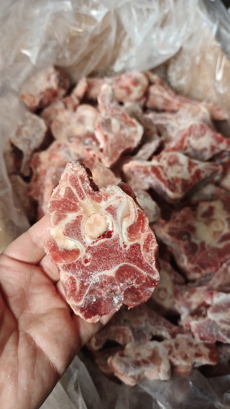 多肉羊蝎子，开箱实拍颜色鲜亮，带肉率高，一件也是批发价